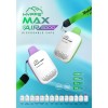 Hyppe Max Air Mesh Coil Disposable (Box of 5) Hyppe Max Air Mesh Coil Disposable (Box of 5)