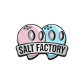 Salt Factory
