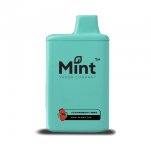 Mint 6500 Puff Disposable Vape by MNKE Bars (Box of 5)
