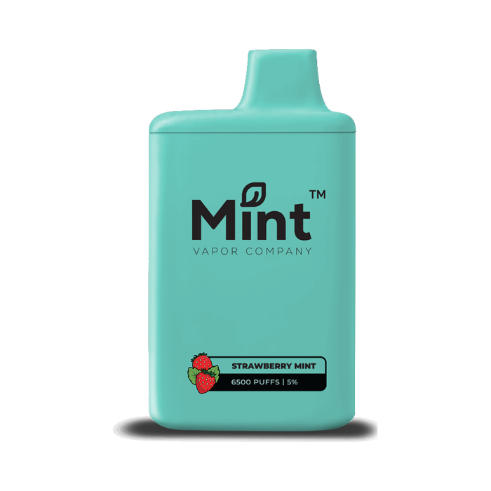 Mint 6500 Puff Disposable Vape by MNKE Bars Mint 6500 Puff Disposable Vape by MNKE Bars