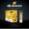 Air boost Disposable (Box of  10)